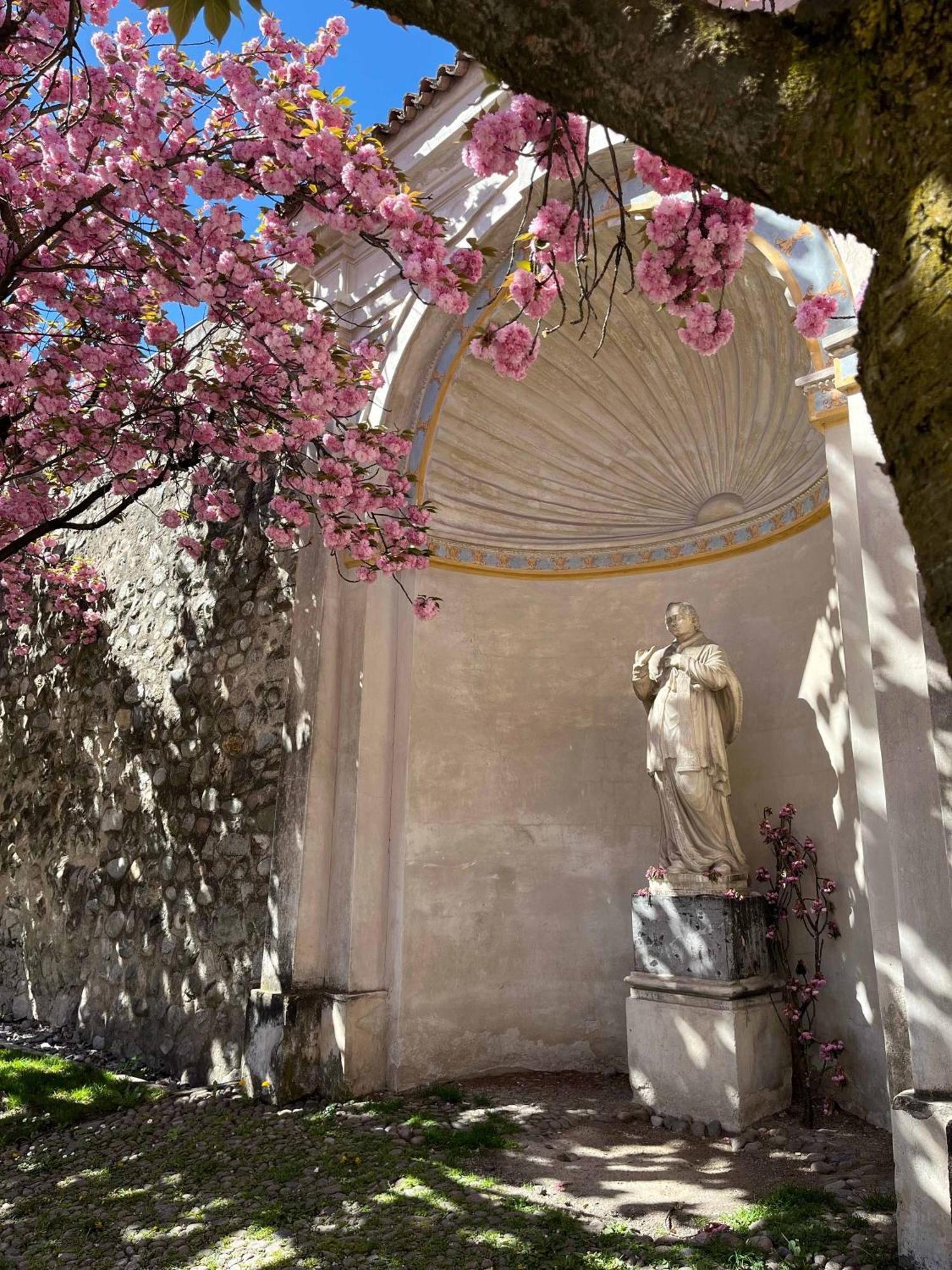 Garden Apartment Untermuehle Μπρεσανόνε Εξωτερικό φωτογραφία